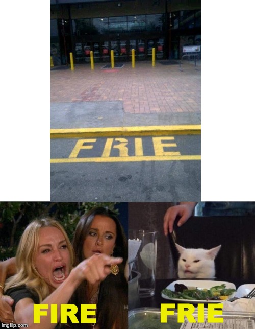 FIRE; FRIE | image tagged in memes,woman yelling at cat | made w/ Imgflip meme maker
