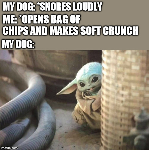 MY DOG: *SNORES LOUDLY; ME: *OPENS BAG OF CHIPS AND MAKES SOFT CRUNCH; MY DOG: | image tagged in baby yoda,dog,chips,hello there | made w/ Imgflip meme maker