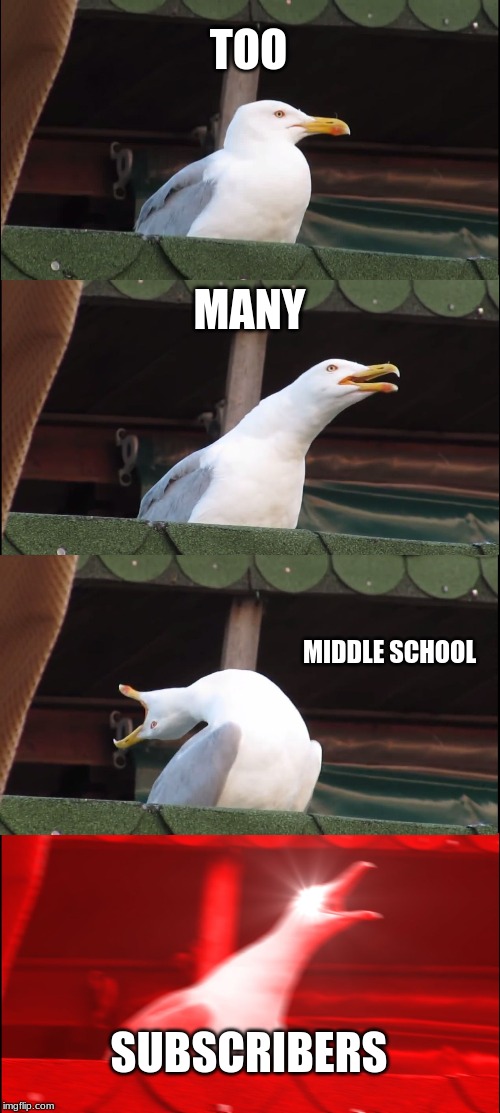 Inhaling Seagull Meme | TOO; MANY; MIDDLE SCHOOL; SUBSCRIBERS | image tagged in memes,inhaling seagull | made w/ Imgflip meme maker