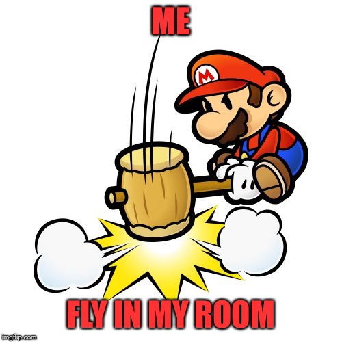 Mario Hammer Smash | ME; FLY IN MY ROOM | image tagged in memes,mario hammer smash | made w/ Imgflip meme maker