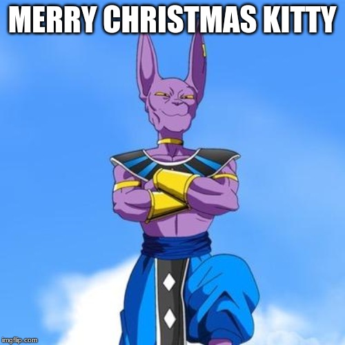 Beerus | MERRY CHRISTMAS KITTY | image tagged in beerus | made w/ Imgflip meme maker