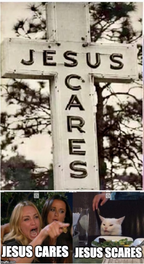 AAAH you scared me there jesus! | JESUS SCARES; JESUS CARES | image tagged in jesus,jesus facepalm,woman yelling at cat | made w/ Imgflip meme maker