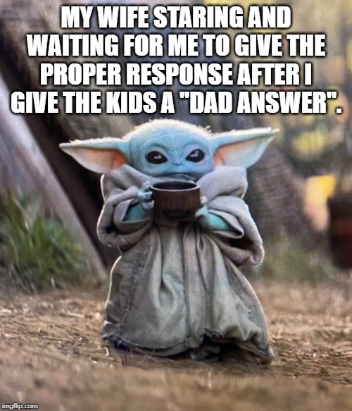 Baby Yoda drinking tea | MY WIFE STARING AND WAITING FOR ME TO GIVE THE PROPER RESPONSE AFTER I GIVE THE KIDS A "DAD ANSWER". | image tagged in baby yoda drinking tea | made w/ Imgflip meme maker