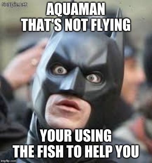 Batman shocked | AQUAMAN THAT'S NOT FLYING YOUR USING THE FISH TO HELP YOU | image tagged in batman shocked | made w/ Imgflip meme maker