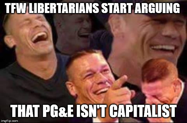 john cena laughing | TFW LIBERTARIANS START ARGUING; THAT PG&E ISN'T CAPITALIST | image tagged in john cena laughing,libertarian | made w/ Imgflip meme maker