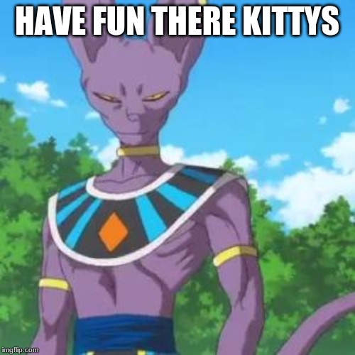 Lord Beerus | HAVE FUN THERE KITTYS | image tagged in lord beerus | made w/ Imgflip meme maker