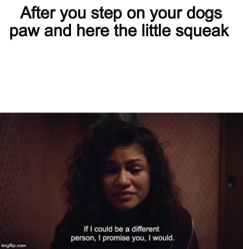 After you step on your dogs paw and here the little squeak | image tagged in memes | made w/ Imgflip meme maker