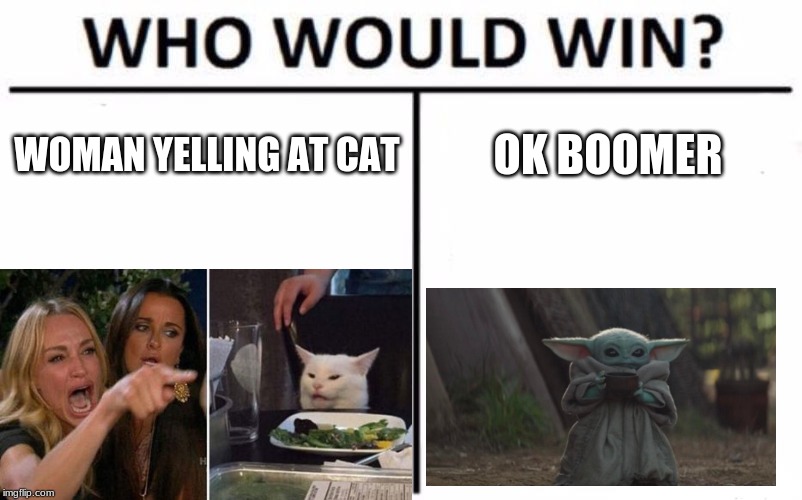 Who Would Win? | WOMAN YELLING AT CAT; OK BOOMER | image tagged in memes,who would win | made w/ Imgflip meme maker