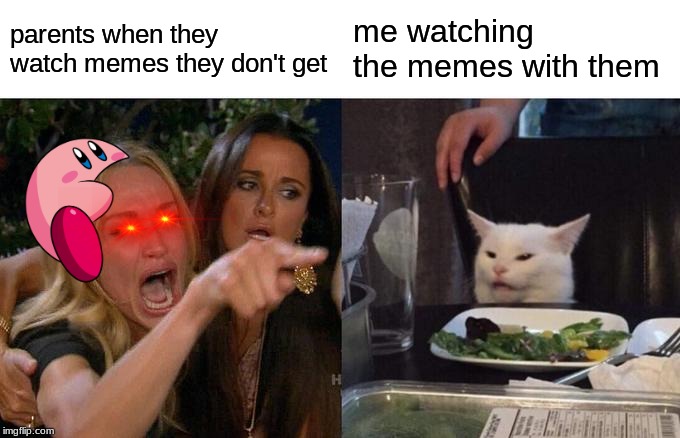 Woman Yelling At Cat | parents when they watch memes they don't get; me watching the memes with them | image tagged in memes,woman yelling at cat | made w/ Imgflip meme maker