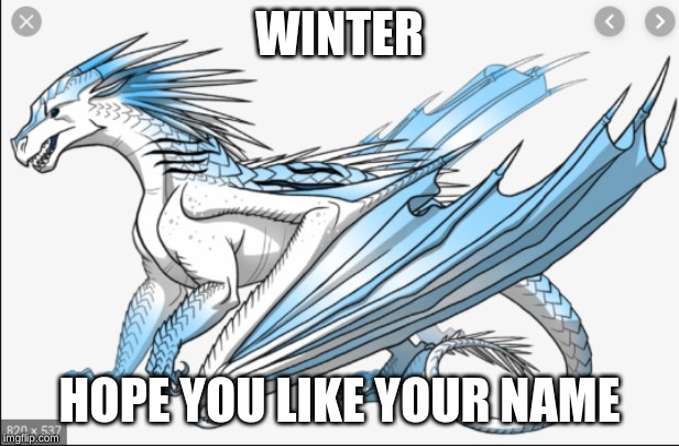 Wings of fire meme | WINTER; HOPE YOU LIKE YOUR NAME | image tagged in memes,dragon | made w/ Imgflip meme maker