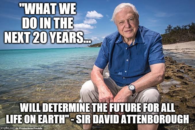 David Attenborough | "WHAT WE DO IN THE NEXT 20 YEARS... WILL DETERMINE THE FUTURE FOR ALL LIFE ON EARTH" - SIR DAVID ATTENBOROUGH | image tagged in david attenborough | made w/ Imgflip meme maker