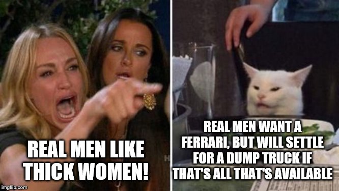 Smudge doesn't do fat chicks! |  REAL MEN WANT A FERRARI, BUT WILL SETTLE FOR A DUMP TRUCK IF THAT'S ALL THAT'S AVAILABLE; REAL MEN LIKE THICK WOMEN! | image tagged in smudge the cat,four panel taylor armstrong pauly d callmecarson cat,fat chicks | made w/ Imgflip meme maker