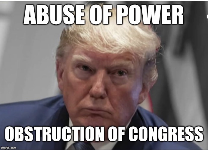 No one is above the Law, not even the Prisident! | image tagged in articles of impeachment,impeach trump,obstruction of justice,abuse of power,obstruction of congress,donald trump | made w/ Imgflip meme maker