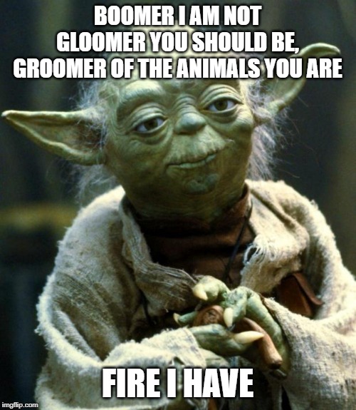 Star Wars Yoda Meme | BOOMER I AM NOT GLOOMER YOU SHOULD BE, GROOMER OF THE ANIMALS YOU ARE FIRE I HAVE | image tagged in memes,star wars yoda | made w/ Imgflip meme maker