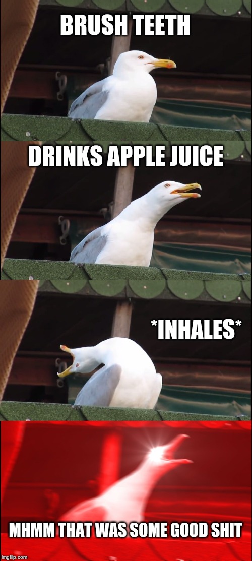 Inhaling Seagull | BRUSH TEETH; DRINKS APPLE JUICE; *INHALES*; MHMM THAT WAS SOME GOOD SHIT | image tagged in memes,inhaling seagull | made w/ Imgflip meme maker