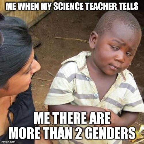 Third World Skeptical Kid | ME WHEN MY SCIENCE TEACHER TELLS; ME THERE ARE MORE THAN 2 GENDERS | image tagged in memes,third world skeptical kid | made w/ Imgflip meme maker