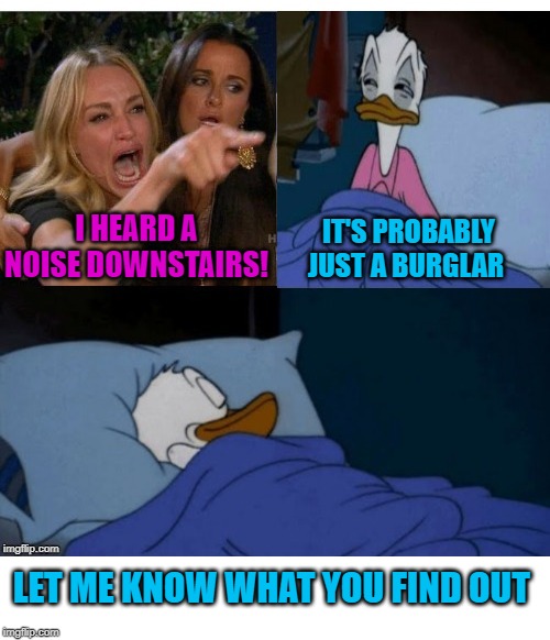 3 in the morning | I HEARD A NOISE DOWNSTAIRS! IT'S PROBABLY JUST A BURGLAR; LET ME KNOW WHAT YOU FIND OUT | image tagged in funny memes,sleepy donald duck in bed,woman yelling at cat,sleeping,quit bothering me,marriage | made w/ Imgflip meme maker