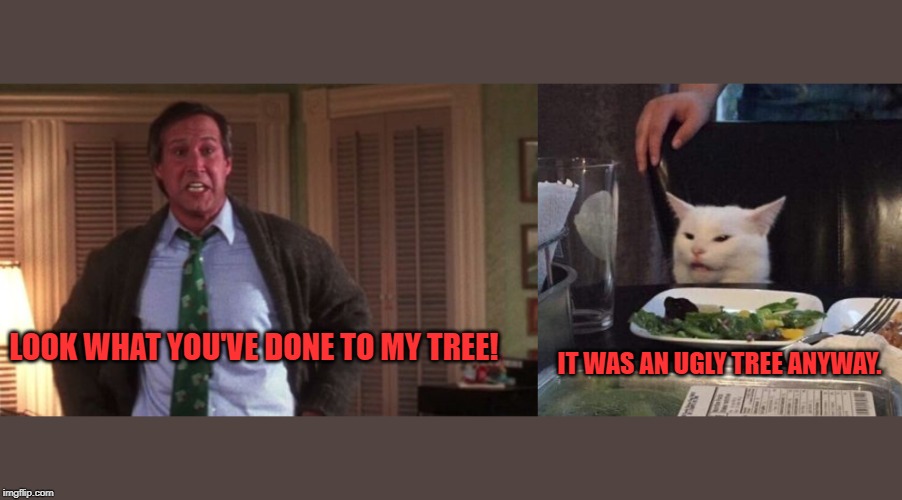 LOOK WHAT YOU'VE DONE TO MY TREE! IT WAS AN UGLY TREE ANYWAY. | image tagged in clark griswold,smudge the cat | made w/ Imgflip meme maker