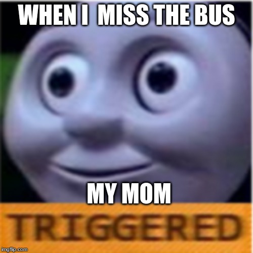 WHEN I  MISS THE BUS; MY MOM | image tagged in funny memes | made w/ Imgflip meme maker