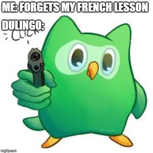 when you miss a lesson | ME: FORGETS MY FRENCH LESSON; DULINGO: | image tagged in memes,funny memes,scary | made w/ Imgflip meme maker