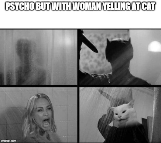 PSYCHO BUT WITH WOMAN YELLING AT CAT | image tagged in woman yelling at cat,psycho | made w/ Imgflip meme maker