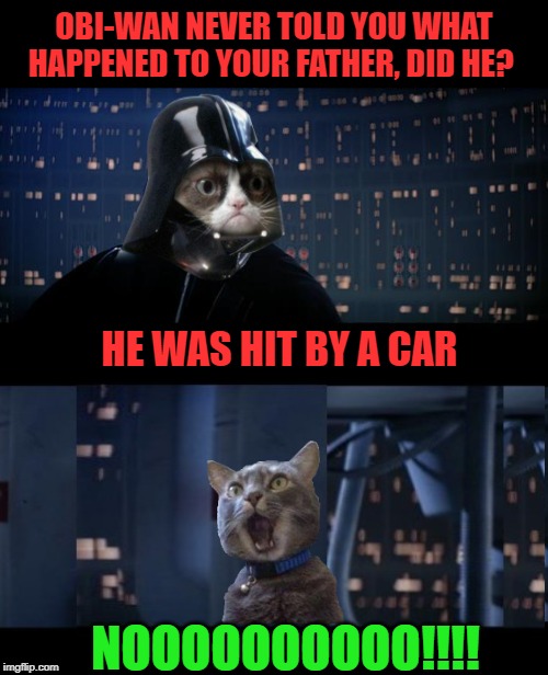 Darth Grumpy Cat | OBI-WAN NEVER TOLD YOU WHAT HAPPENED TO YOUR FATHER, DID HE? HE WAS HIT BY A CAR; NOOOOOOOOOO!!!! | image tagged in funny memes,cats,grumpy cat star wars,starwars no,funny cat memes | made w/ Imgflip meme maker