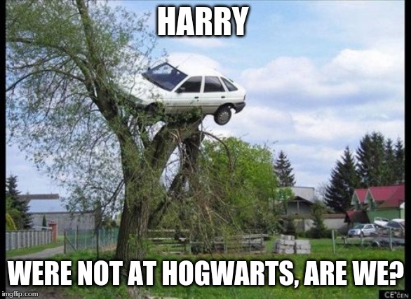 Secure Parking | HARRY; WERE NOT AT HOGWARTS, ARE WE? | image tagged in memes,secure parking | made w/ Imgflip meme maker