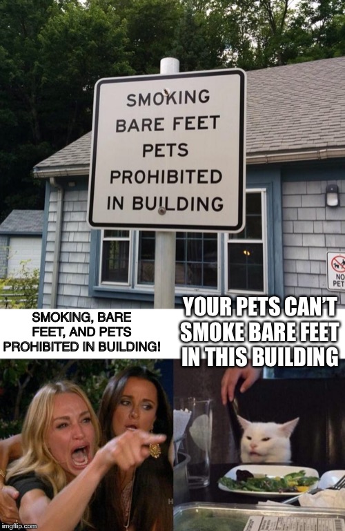 YOUR PETS CAN’T SMOKE BARE FEET IN THIS BUILDING; SMOKING, BARE FEET, AND PETS PROHIBITED IN BUILDING! | image tagged in memes,woman yelling at cat | made w/ Imgflip meme maker