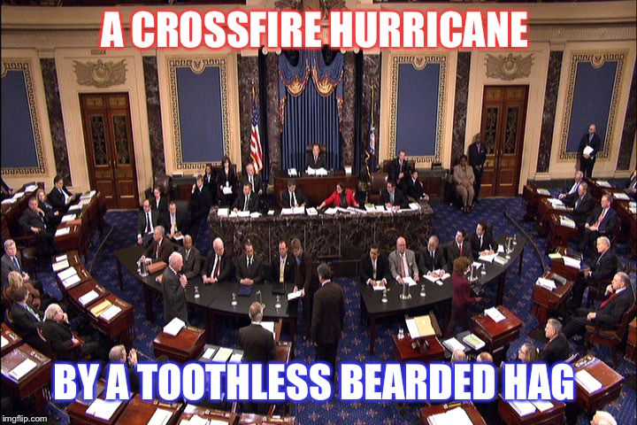 Senate floor | A CROSSFIRE HURRICANE; BY A TOOTHLESS BEARDED HAG | image tagged in senate floor | made w/ Imgflip meme maker