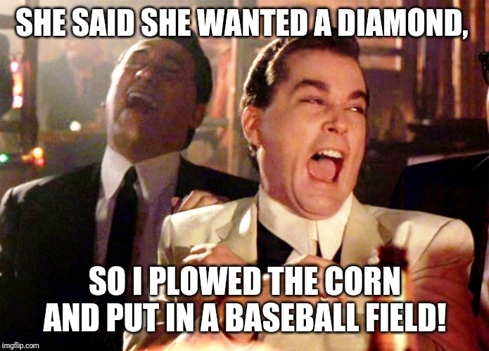 Field of dreams reference | SHE SAID SHE WANTED A DIAMOND, SO I PLOWED THE CORN AND PUT IN A BASEBALL FIELD! | image tagged in memes,field of dreams,shoeless joe jackson | made w/ Imgflip meme maker