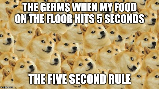 multiple picture meme creator multiple picture meme creator