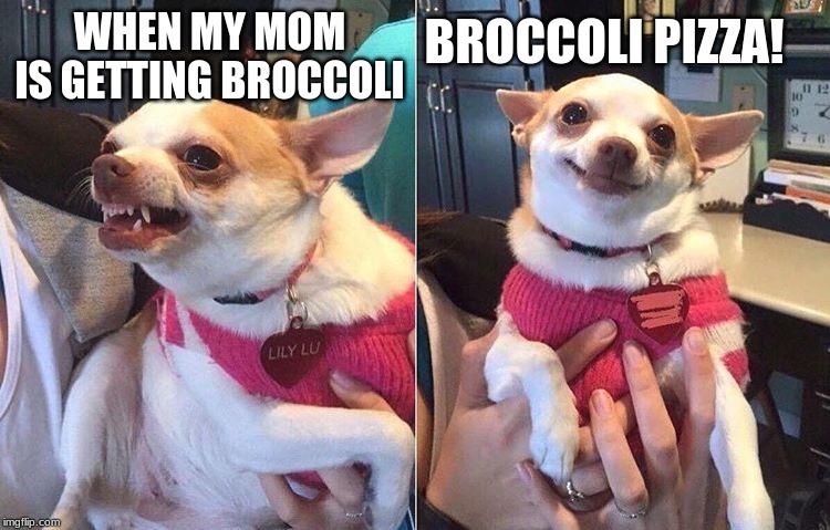 angry dog meme | BROCCOLI PIZZA! WHEN MY MOM IS GETTING BROCCOLI | image tagged in angry dog meme | made w/ Imgflip meme maker