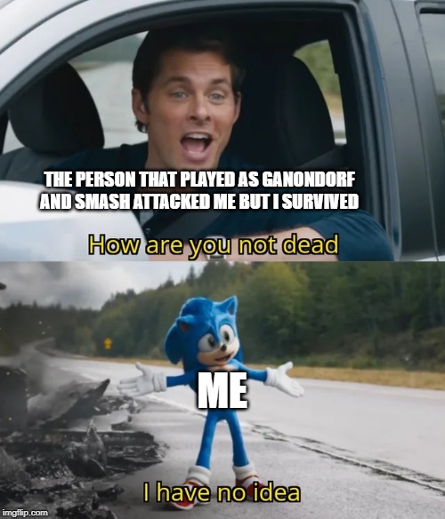 Any of this happened to you guys? | THE PERSON THAT PLAYED AS GANONDORF AND SMASH ATTACKED ME BUT I SURVIVED; ME | image tagged in sonic i have no idea,super smash bros,ganondorf | made w/ Imgflip meme maker