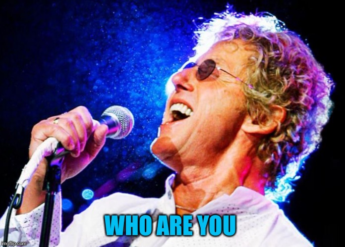 Roger Daltry | WHO ARE YOU | image tagged in roger daltry | made w/ Imgflip meme maker
