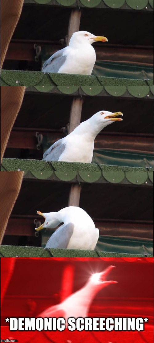 Inhaling Seagull Meme | *DEMONIC SCREECHING* | image tagged in memes,inhaling seagull | made w/ Imgflip meme maker