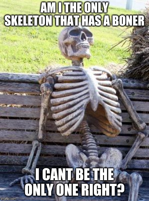 Waiting Skeleton | AM I THE ONLY SKELETON THAT HAS A BONER; I CANT BE THE ONLY ONE RIGHT? | image tagged in memes,waiting skeleton | made w/ Imgflip meme maker