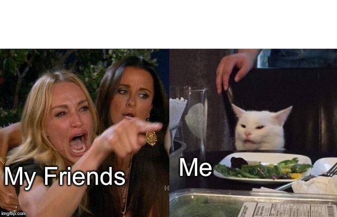 Woman Yelling At Cat Meme | Me; My Friends | image tagged in memes,woman yelling at cat | made w/ Imgflip meme maker