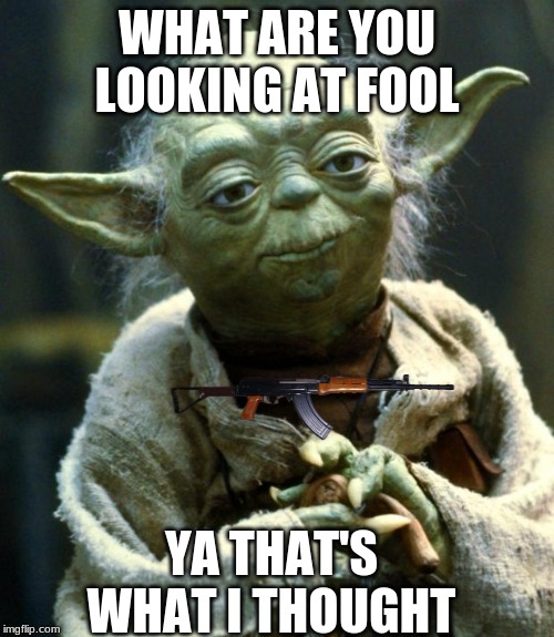 Star Wars Yoda Meme | WHAT ARE YOU LOOKING AT FOOL; YA THAT'S WHAT I THOUGHT | image tagged in memes,star wars yoda | made w/ Imgflip meme maker