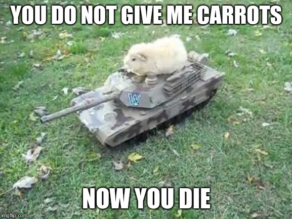 Guinea pig tank | YOU DO NOT GIVE ME CARROTS; NOW YOU DIE | image tagged in guinea pig tank | made w/ Imgflip meme maker