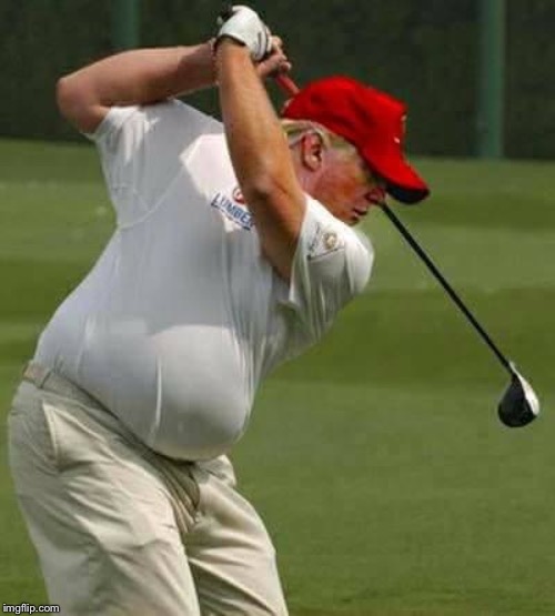 trump golf gut | image tagged in trump golf gut | made w/ Imgflip meme maker