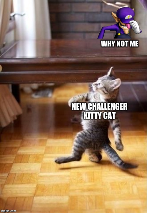 Cool Cat Stroll Meme | WHY NOT ME; NEW CHALLENGER 
KITTY CAT | image tagged in memes,cool cat stroll | made w/ Imgflip meme maker