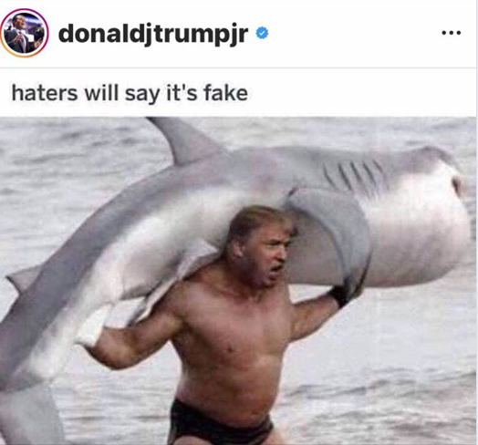Trump Jr IG Post Blank Meme Template