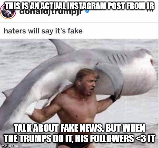 Trump Jr IG Post | THIS IS AN ACTUAL INSTAGRAM POST FROM JR; TALK ABOUT FAKE NEWS. BUT WHEN THE TRUMPS DO IT, HIS FOLLOWERS <3 IT | image tagged in trump jr ig post | made w/ Imgflip meme maker