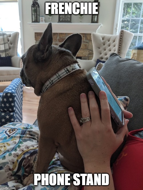 FRENCHIE; PHONE STAND | made w/ Imgflip meme maker