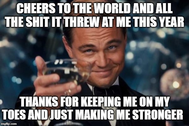 Leonardo Dicaprio Cheers | CHEERS TO THE WORLD AND ALL THE SHIT IT THREW AT ME THIS YEAR; THANKS FOR KEEPING ME ON MY TOES AND JUST MAKING ME STRONGER | image tagged in memes,leonardo dicaprio cheers | made w/ Imgflip meme maker