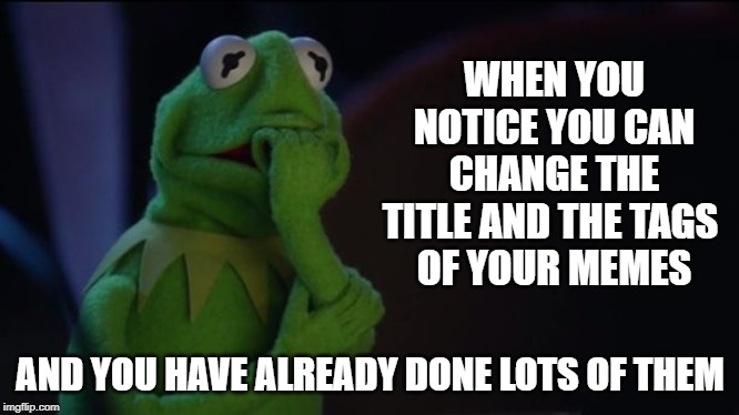 OH NO! | WHEN YOU NOTICE YOU CAN CHANGE THE TITLE AND THE TAGS 
OF YOUR MEMES; AND YOU HAVE ALREADY DONE LOTS OF THEM | image tagged in kermit worried face,kermit,worry,meme,time,no | made w/ Imgflip meme maker