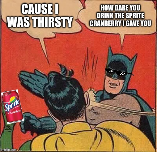 Batman Slapping Robin | CAUSE I WAS THIRSTY; HOW DARE YOU DRINK THE SPRITE CRANBERRY I GAVE YOU | image tagged in memes,batman slapping robin | made w/ Imgflip meme maker
