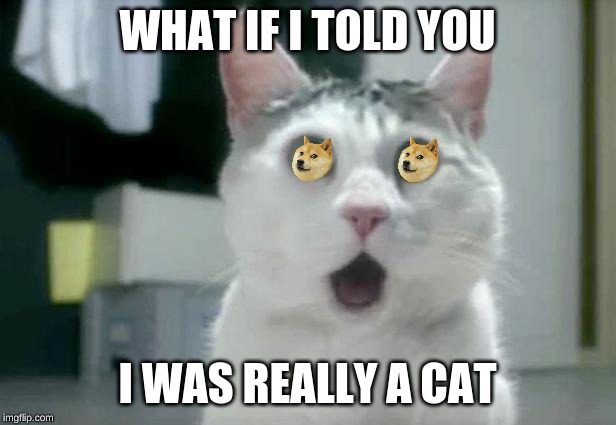 OMG Cat Meme | WHAT IF I TOLD YOU; I WAS REALLY A CAT | image tagged in memes,omg cat | made w/ Imgflip meme maker