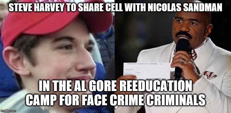 face criminals | STEVE HARVEY TO SHARE CELL WITH NICOLAS SANDMAN; IN THE AL GORE REEDUCATION CAMP FOR FACE CRIME CRIMINALS | image tagged in global warming,steve harvey,climate change,politics | made w/ Imgflip meme maker