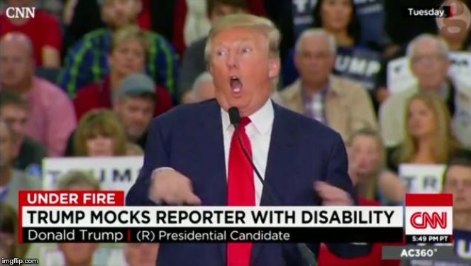 Trump Mocking Disabled | image tagged in trump mocking disabled | made w/ Imgflip meme maker